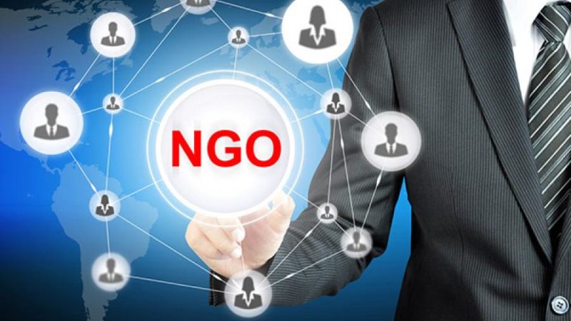 Challenging the norms for NGOs